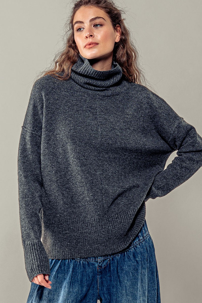 Trend Notes Turtle Neck Sweater