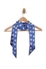 Joy Susan Scarves