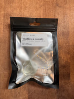 Woodsy Wick Car Diffuser