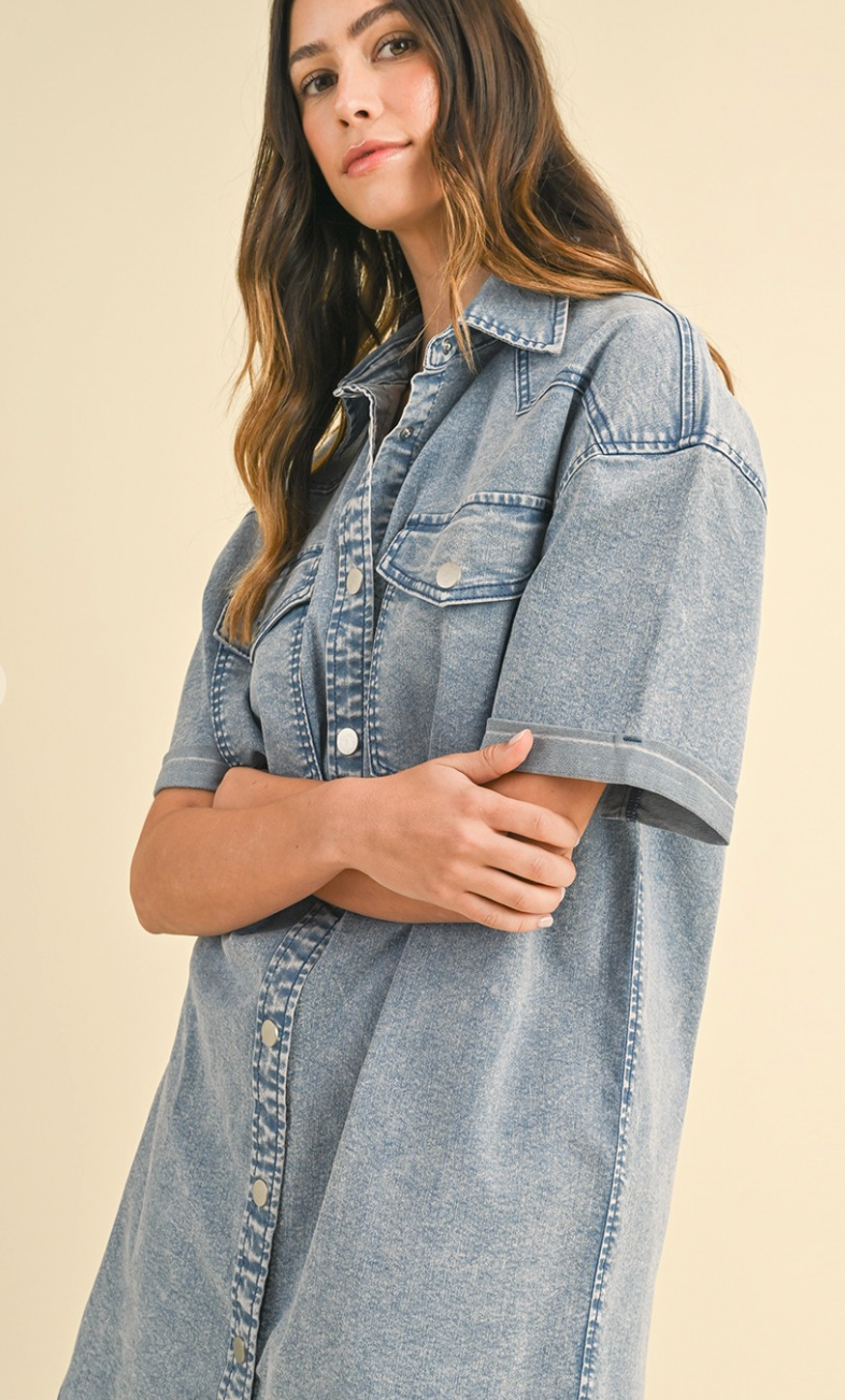 AnnieWear Denim Stretched Button Down Shirt Dress