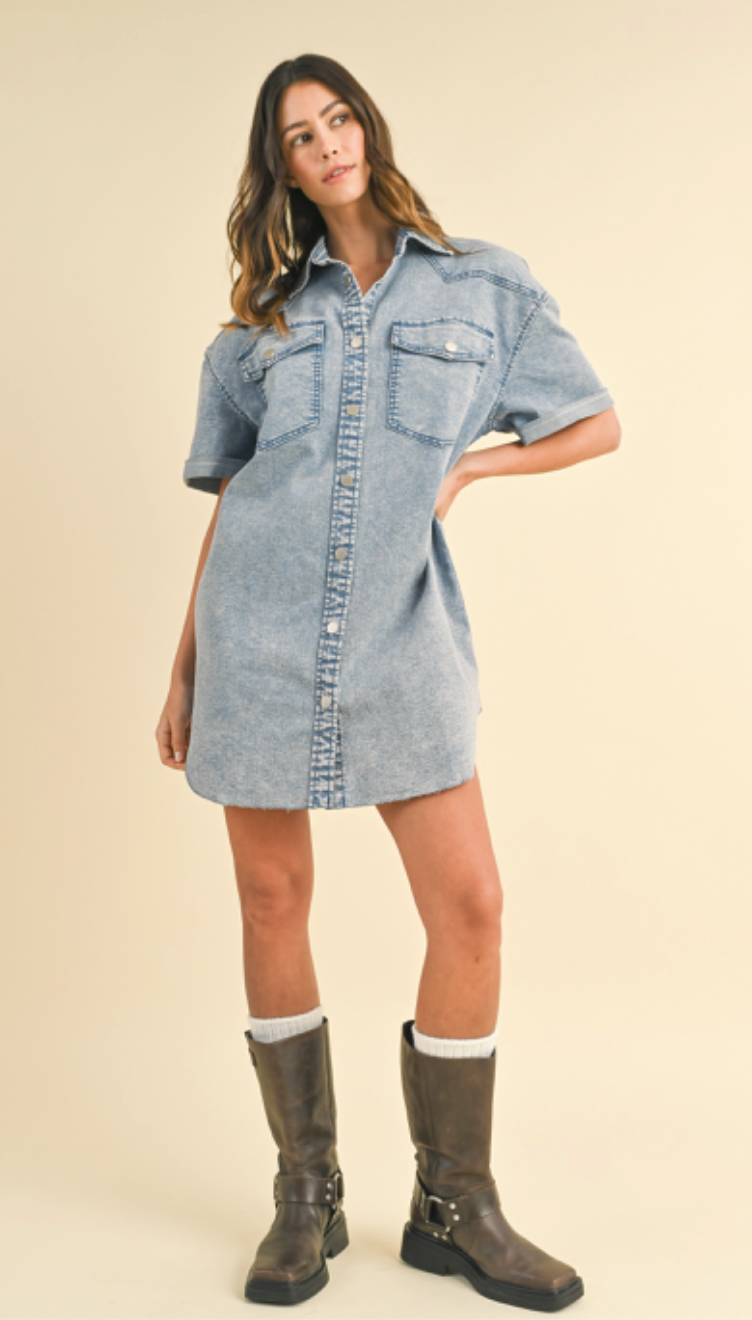 AnnieWear Denim Stretched Button Down Shirt Dress